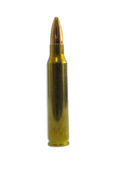 .223 Remington FMJ Dekopatrone Ohne Magnet